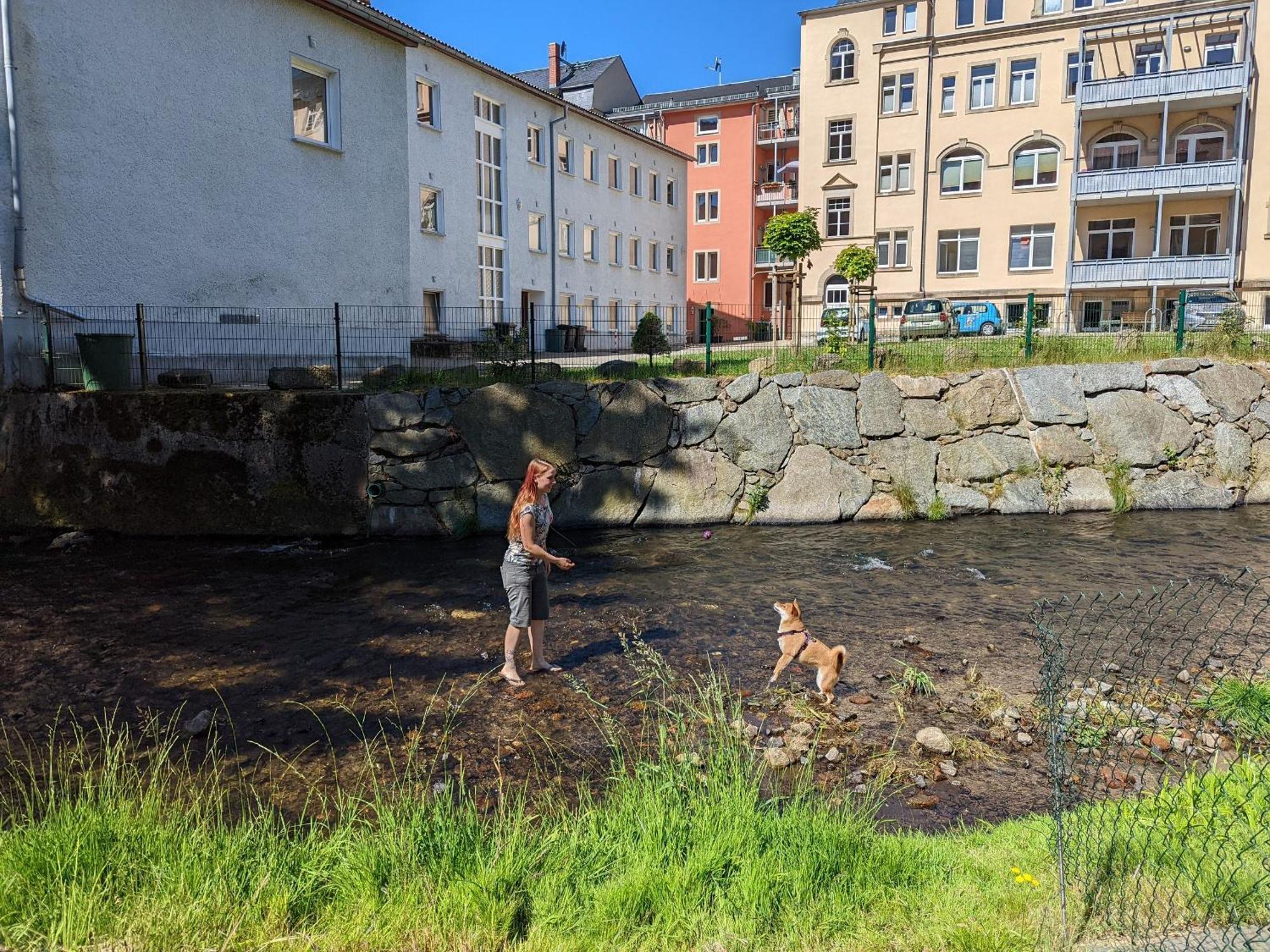 Ut - Urlaubsmagie - Urlaubstraum Mit Whirlpool, Pool & Sauna Sebnitz Exterior foto