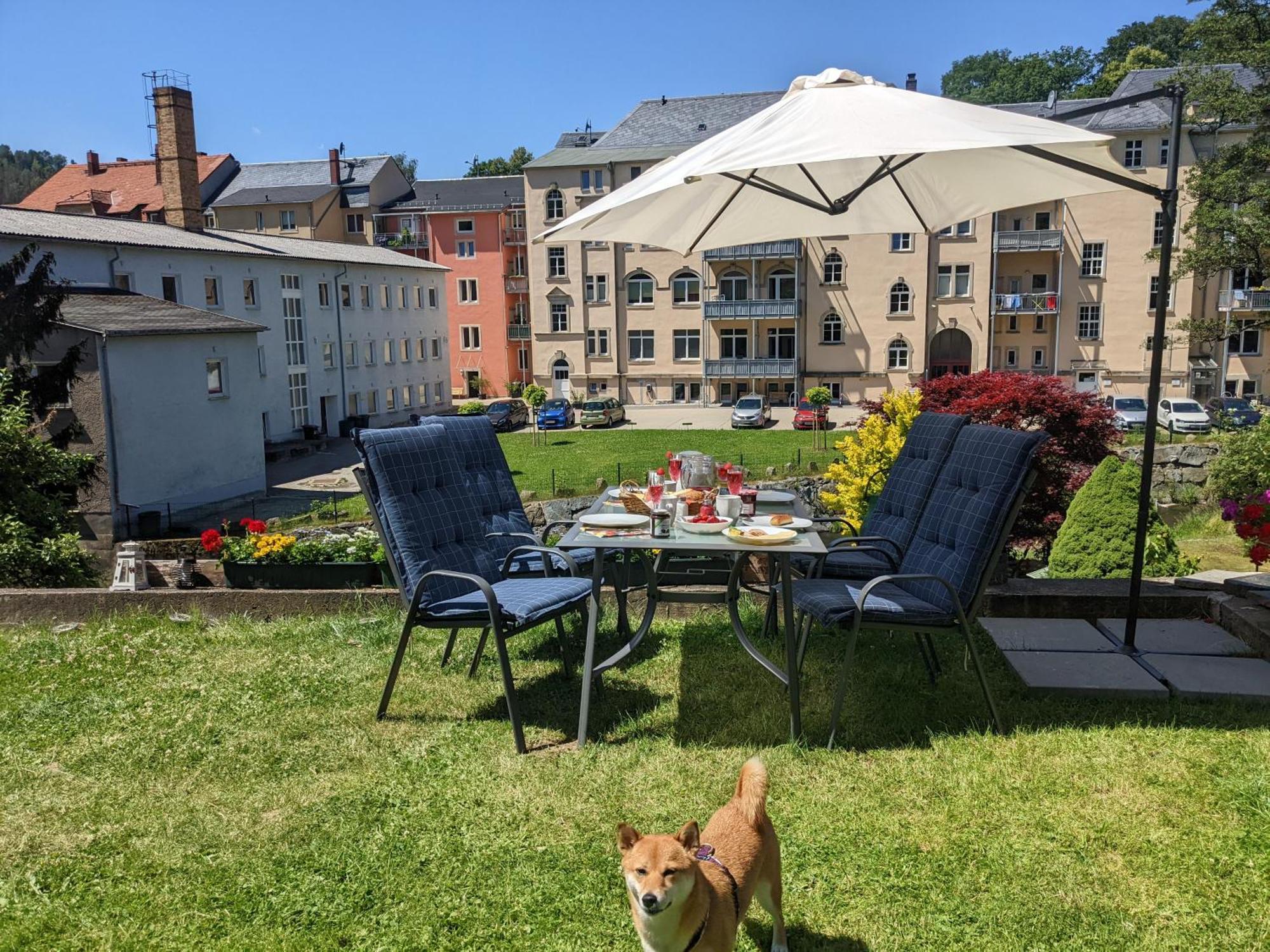 Ut - Urlaubsmagie - Urlaubstraum Mit Whirlpool, Pool & Sauna Sebnitz Exterior foto