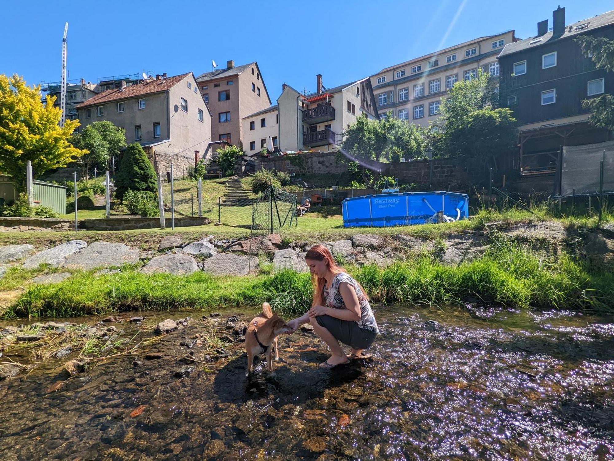 Ut - Urlaubsmagie - Urlaubstraum Mit Whirlpool, Pool & Sauna Sebnitz Exterior foto